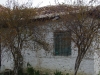 Manza