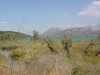 Butrinti