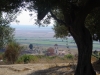 Apollonia