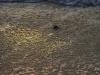 Qerret DSC06834.jpg