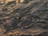 Qerret DSC06838.jpg