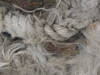 Cordage