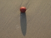 Qerret DSC06784.jpg