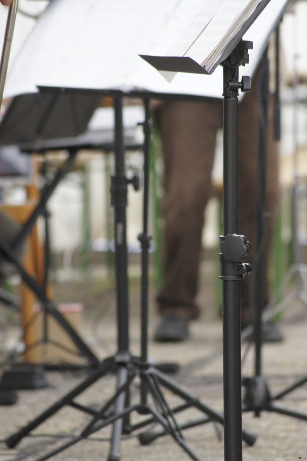Musiciens, Fanfare du Loup