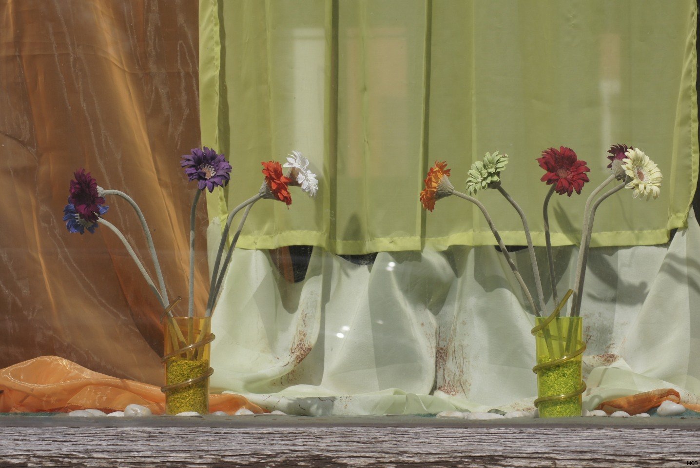Vitrine en fleurs