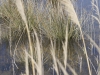 Dans le vent d\'hiver