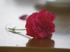 Gramsh DSC06402.jpg 