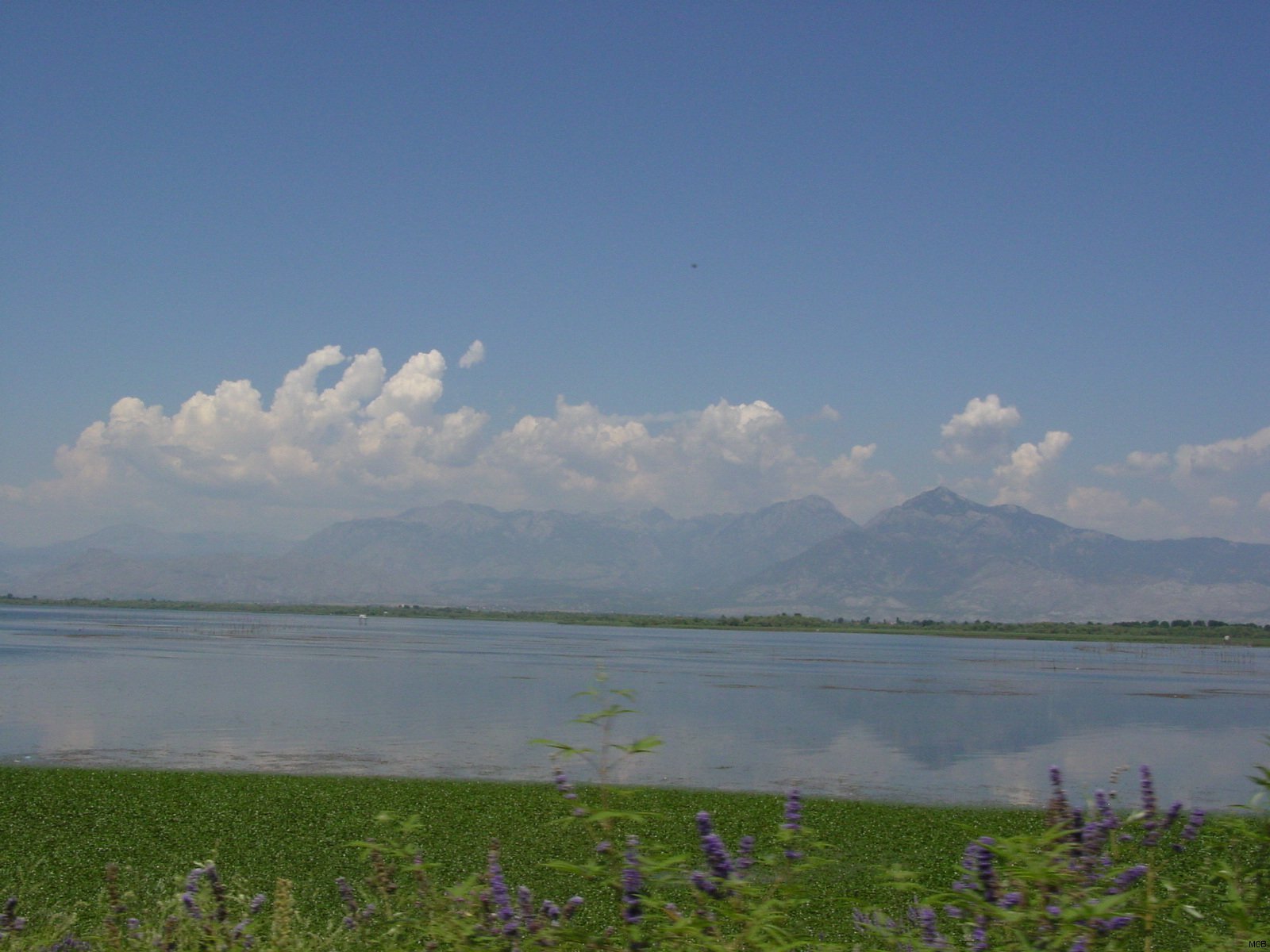 Lac de Skodër