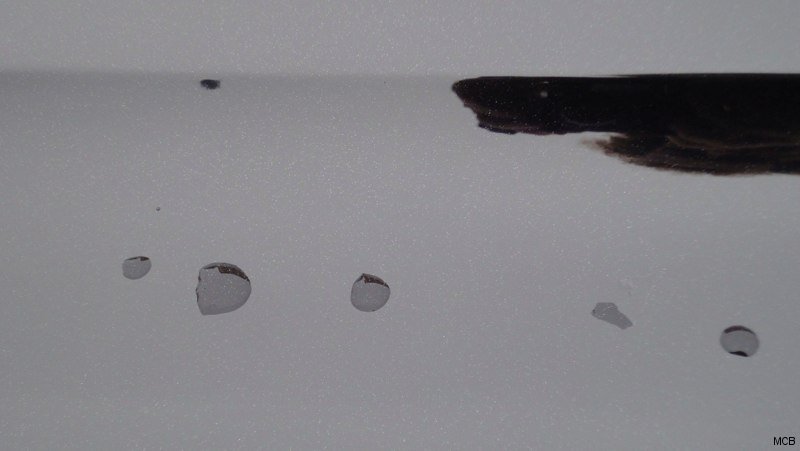 Gouttes de pluie sur toit de voiture(3)