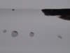 Gouttes de pluie sur toit de voiture(3)